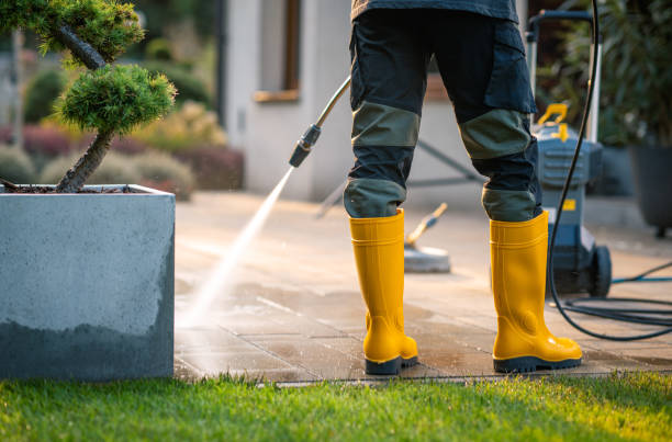 Best Deck Cleaning Services  in Wyncote, PA